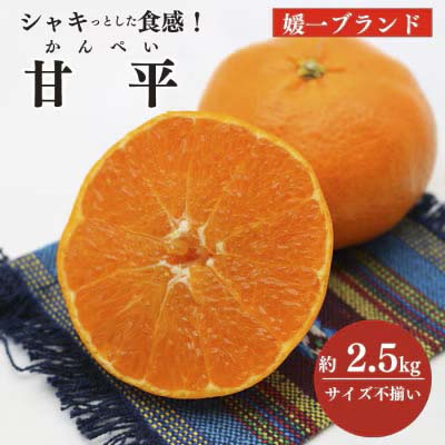 【先行受付】愛媛の高級柑橘の一つ!「甘平(かんぺい)」約2.5kg入【訳あり】【C28-41】【1437357】 YWTN028