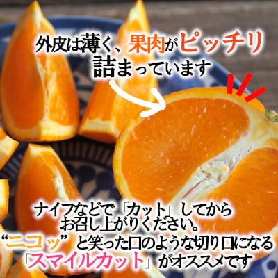 「甘柑きよみ」贈答用3kg【C79-26】【1474164】