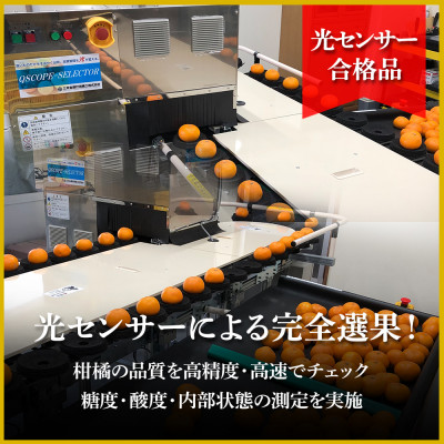 極撰柑橘【雅プレミアム】糖度保証・光センサー 合格品「 マドンナ 」約2キロ【D39-61】【配送不可地域：離島】【1614244】