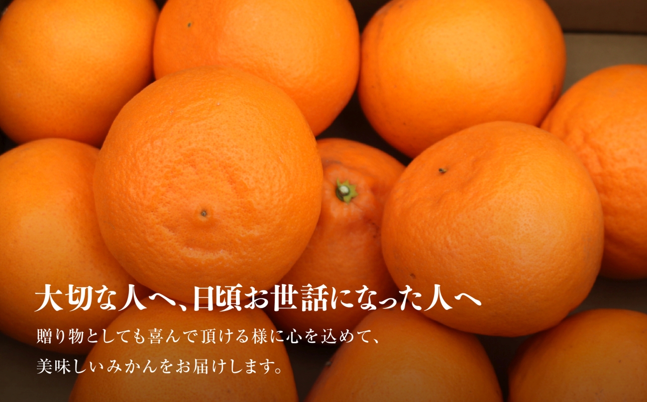 縲蝉ク峨▽譏溘ヶ繝ゥ繝ウ繝峨第弌荵縺帙→縺(3kg)縲織45-93縲代1625776縲