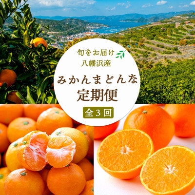 【2週間毎定期便】愛媛みかん5kg×小玉みかん6kg×まどんな3.5kg 【H25-284】全3回【4071366】