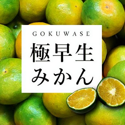 まもなく収穫! 極早生みかん 5kg【C31-15】【1042517】