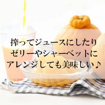 「甘柑しらぬひ」5kg サイズ2LまたはL/約20〜25個【C79-25】【1474165】