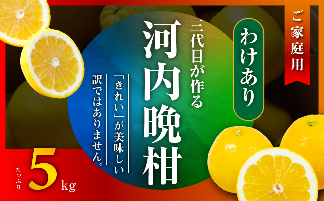 河内晩柑5kg【訳あり】【A31-50】【配送不可地域：離島】【1613967】 YWTAC039