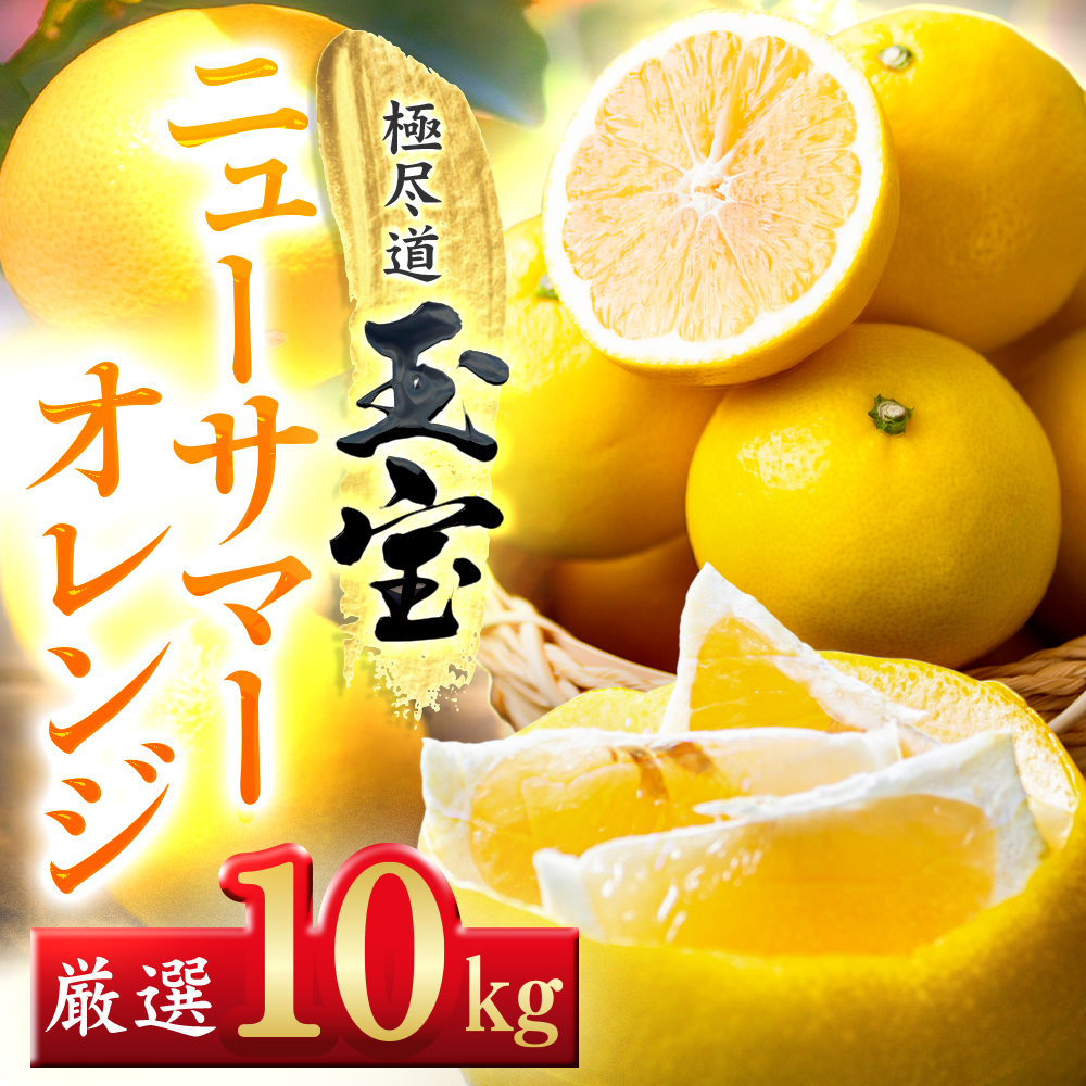 【愛媛名産】玉宝ニューサマーオレンジ　10kg【H64-39】【1510857】 YWTY028