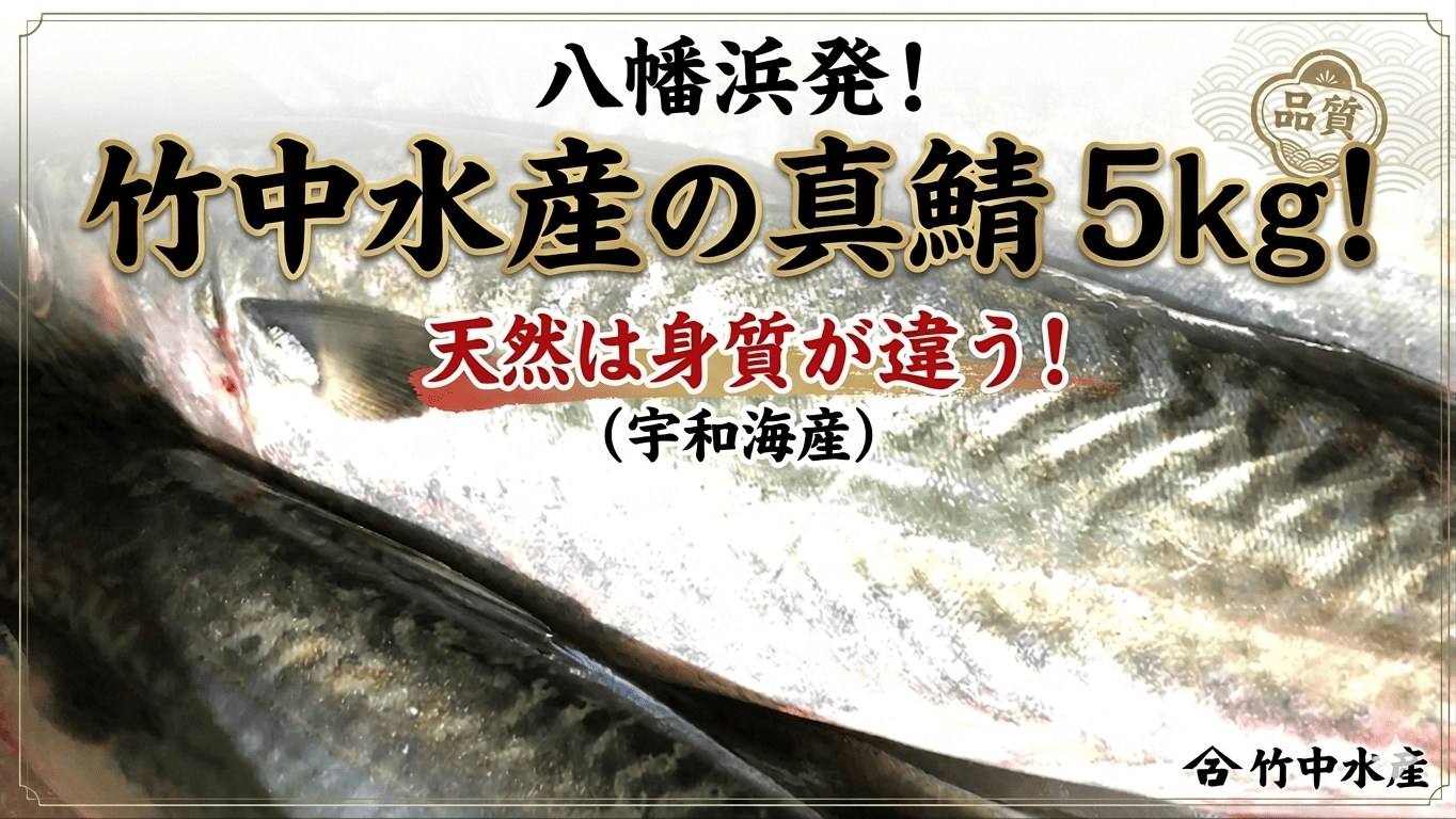 竹中水産の真鯖5キロ!【F22-241】【配送不可地域：離島・北海道・沖縄県・東北・関東・信越、北陸・東海・九州】【1073402】 YWTM059