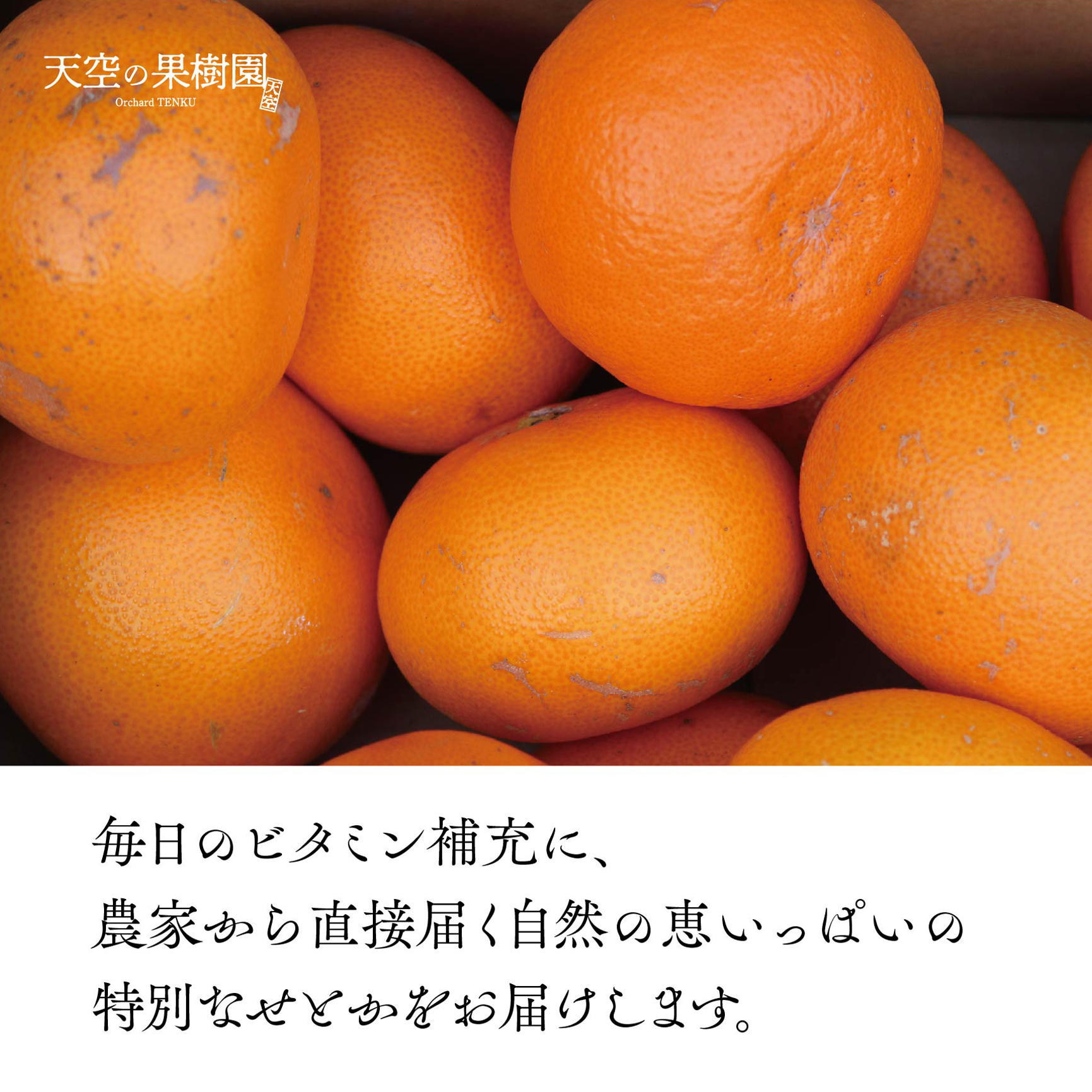 【先行受付】天空の果樹園から届く そらせとか (5kg)【訳あり】【D95-8】【1668516】 YWTAQ008