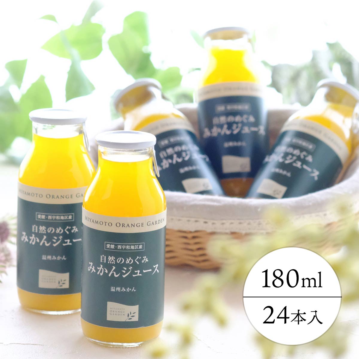 諢帛ェ帷肇100%繧ケ繝医Ξ繝シ繝 閾ェ辟カ縺ョ繧√$縺ソ 縺ソ縺九s繧ク繝・繝シ繧ケ180mlテ24譛ャ縲色25-73縲代1231095縲 YWTAP040
