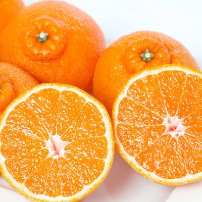 譛鬮倡エ壹∩縺九s 蟐帷嚊 荳咲衍轣ォ 5kg 諢帛ェ帷恁 蜈ォ蟷。豬懷ク 隘ソ螳蜥悟慍蛹コ縲織25-385縲代1718364縲