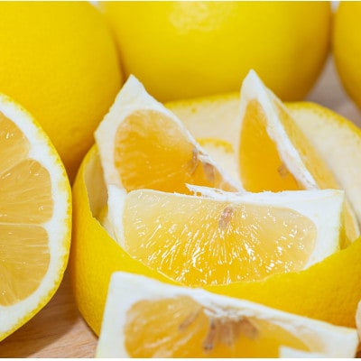 ã倪éœããã£ã·ã济ã³ãããã¥ãŒãµããŒãªã¬ã³ãžã極ã4kgãC49-57ãã1509760ã