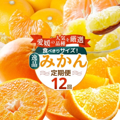 【発送月固定定期便】食べ切り少量サイズ 愛媛の人気品種!柑橘定期便(秀品)全12回【H25-156】【配送不可地域：離島】【4012890】