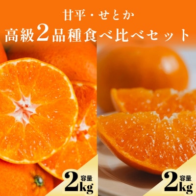 【プレミアム柑橘 贅沢食べ比べセット】甘平2kg+せとか2kg 高級2品種【F70-145】【1689222】