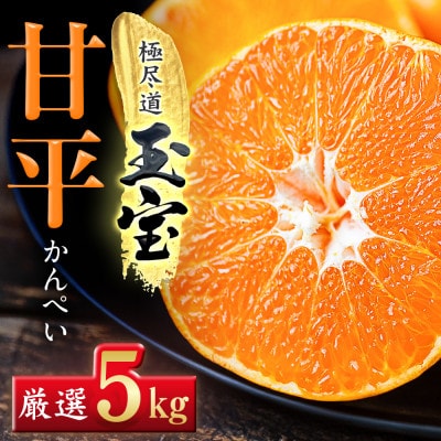 「玉宝ブランド」【甘平】5kg【H64-61】【1621001】