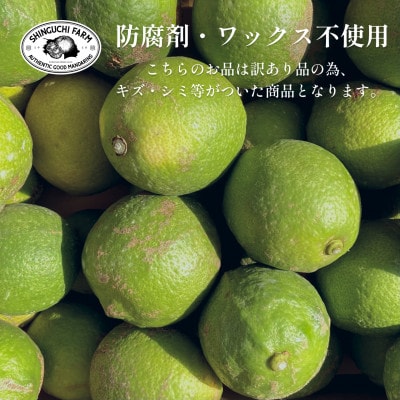 【防腐剤・ワックス不使用】愛媛県産「訳あり」グリーンレモン 4kg【C70-53】【1550695】