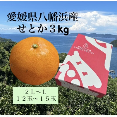 愛媛県八幡浜産「せとか」3kg　サイズ2L〜L/12玉〜15玉【F79-28】【1698563】