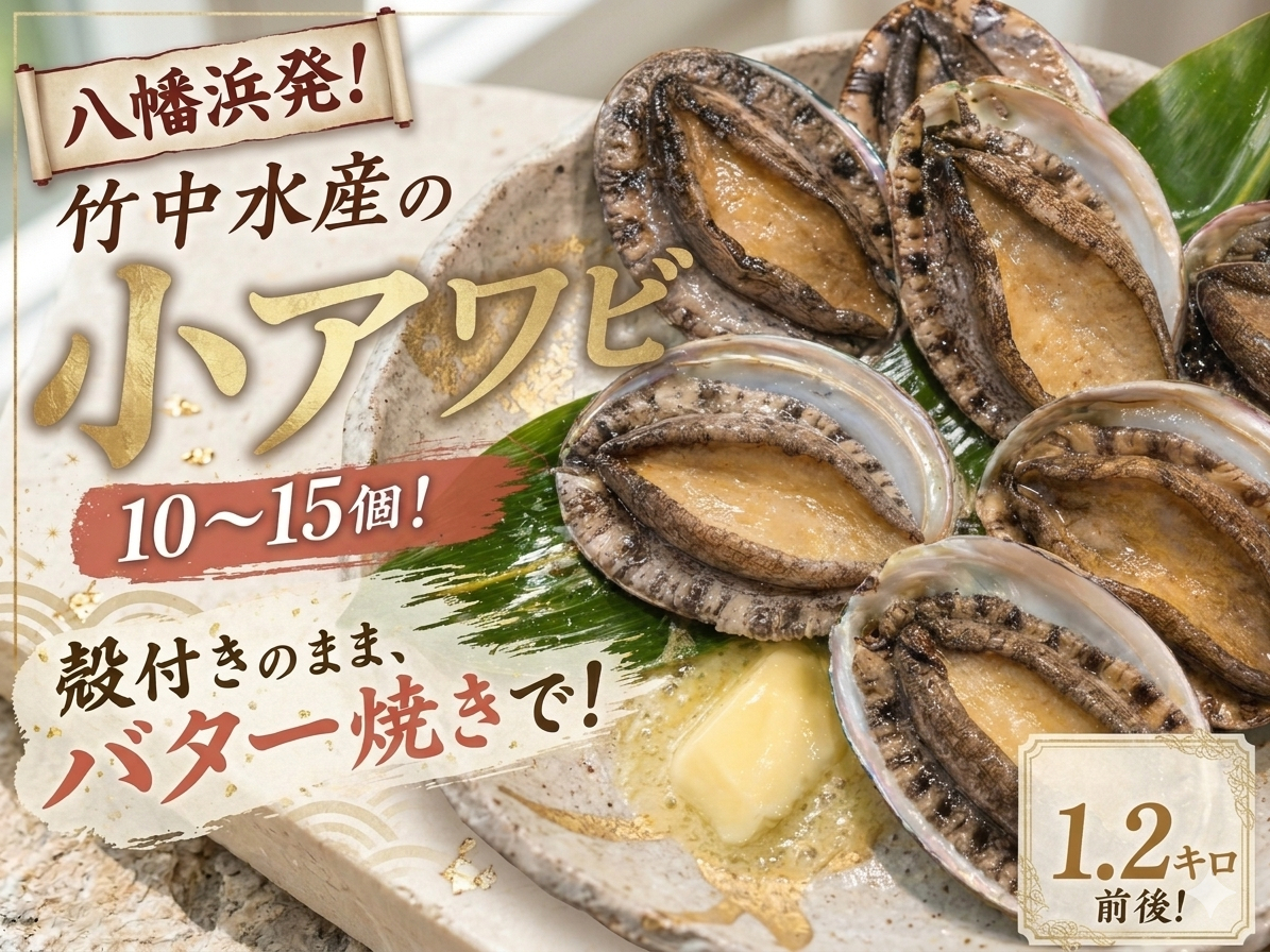 竹中水産の天然小アワビ、殻付きのままでバター焼き1.2kg前後(10〜15個目安)【H22-248】【配送不可地域：離島・北海道・沖縄県】【1073905】 YWTM066