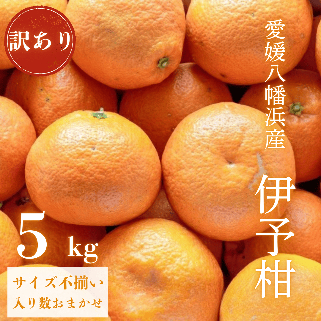 【爽やか香りと柔らかジューシーな果肉】愛媛八幡浜産 訳あり 宮内伊予柑 5kg【C20-56】【1595886】 YWTI051