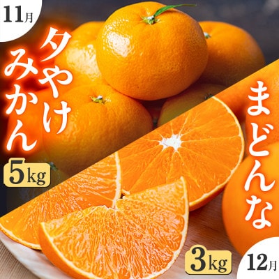 ãçºéæåºå®å®æäŸ¿ããããã€ã®äžã®å¬ç©èªãå€ããã¿ãã+ãŸã©ããª!ãH49-72ãå
š2åã4056123ã