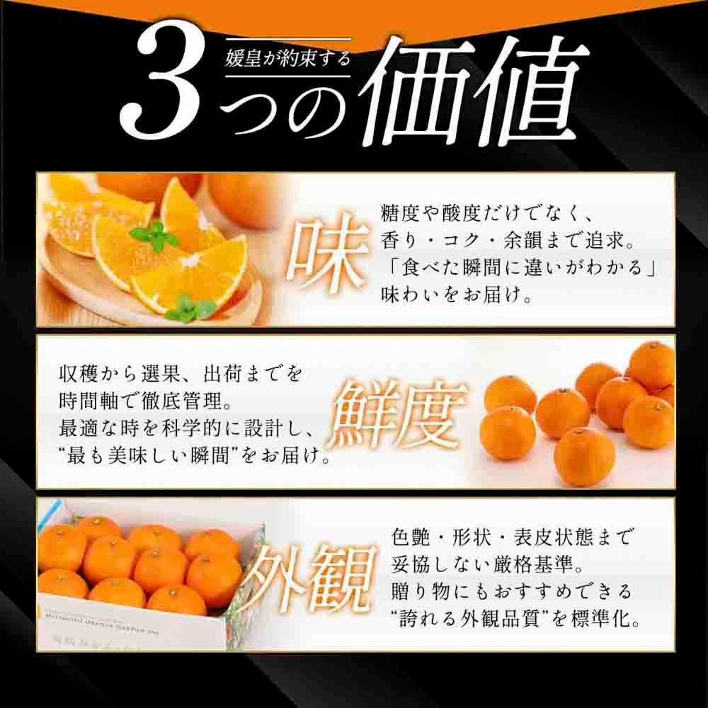 【先行受付】 最高級みかん 媛皇 せとか 4kg 愛媛県 八幡浜市 西宇和地区 柑橘の女王【F25-295】【1712701】 YWTAP236