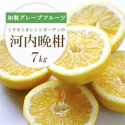 さっぱり爽やか 和製グレープフルーツ 河内晩柑7kg【E25-13】【配送不可地域：離島】【1268372】 YWTAP007