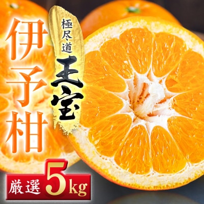 【愛媛名産】玉宝伊予柑　5kg【C64-59】【1511355】