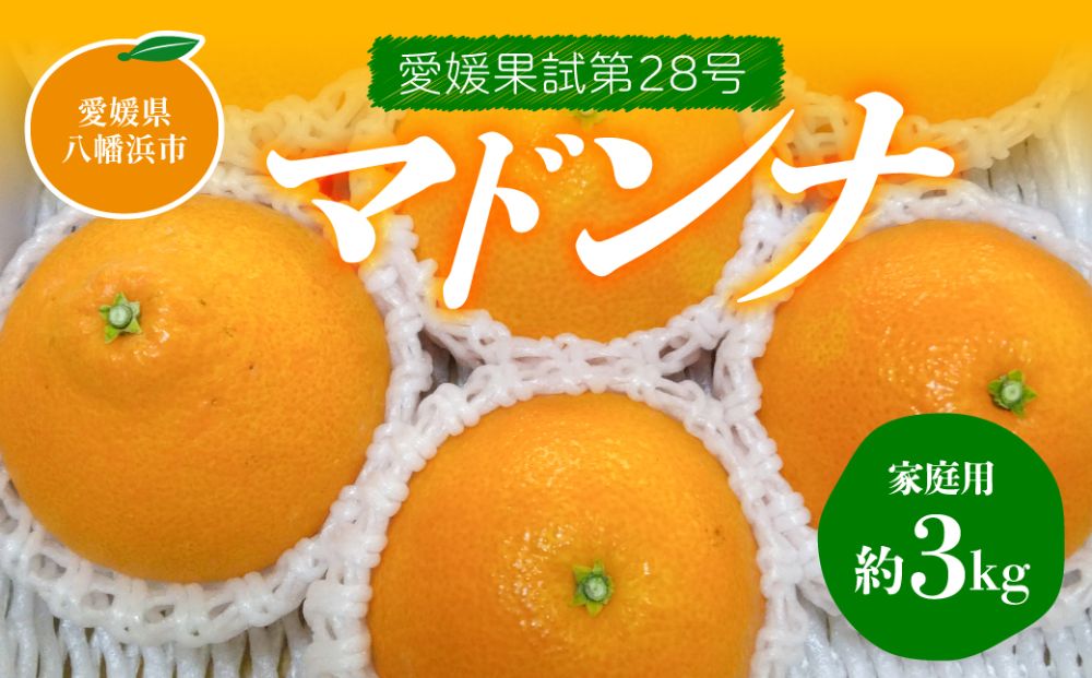 マドンナ(愛媛果試第28号)【家庭用】約3kg【C76-7】【1506315】 YWTAB005