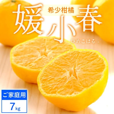 【ご家庭用】媛小春 7kg 愛媛県 八幡浜市 西宇和地区 希少な幻の柑橘【F25-325】【1714079】