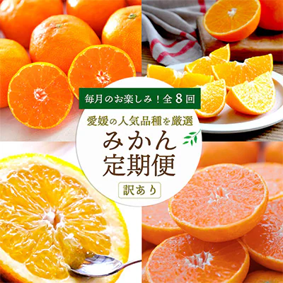 【発送月固定定期便】愛媛の人気品種を厳選! みかん定期便(訳あり)全8回【H25-117】【4001039】 YWTAP060