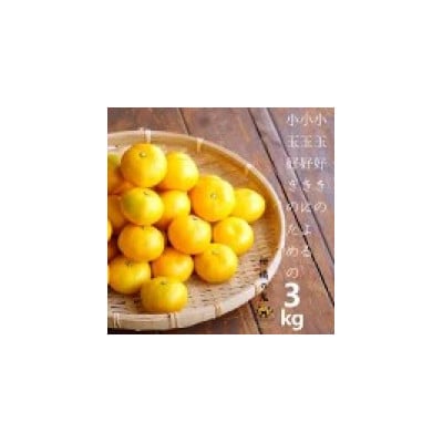 八幡浜産　あまーい小玉みかん計3kg【C56-88】【1668815】