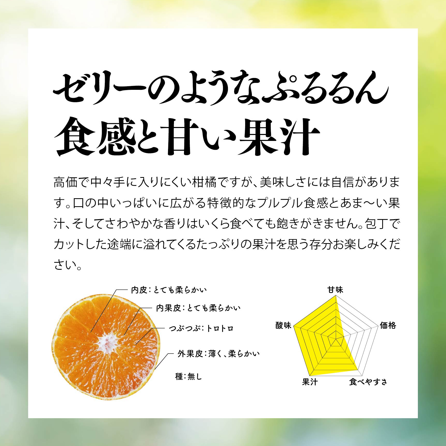 【先行受付】天空の果樹園から届く そらまどんな(3kg)【訳あり】【C95-5】【1668478】 YWTAQ005