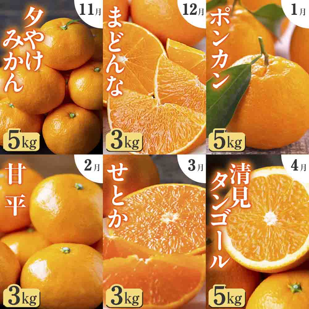 【発送月固定定期便】「こたつの上の冬物語」愛媛限定のまどんなや甘平も届きます!【H49-69】全6回【4055972】 YWTZ001