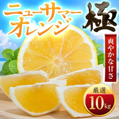 【太陽をたっぷり浴びた】ニューサマーオレンジ【極】10kg【H49-59】【1509762】