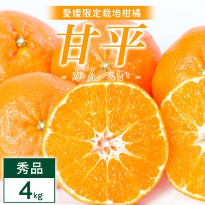 甘平 4kg 愛媛県 八幡浜市 西宇和地区 扁平で濃い味【E25-331】【1714520】