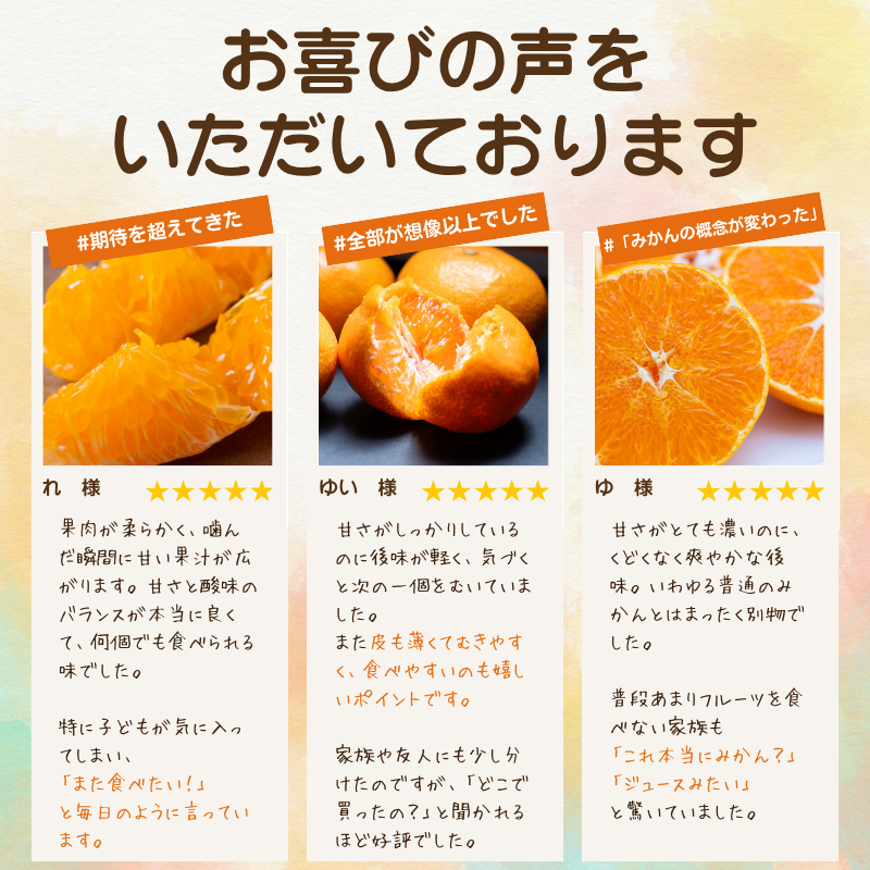 【先行受付】【太陽をたっぷり浴びた】デコ(不知火)【極】10kg【H49-47】【1509744】 YWTZ039