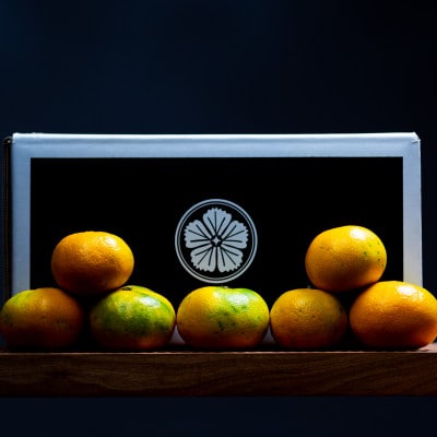 【愛媛名産】極早生みかん【雫・・小玉】 20kg【H64-25】【1510678】