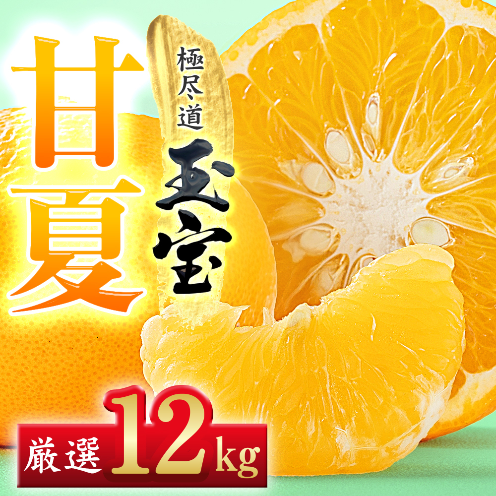 【愛媛名産】玉宝甘夏　12kg【F64-75】【1621820】 YWTY064