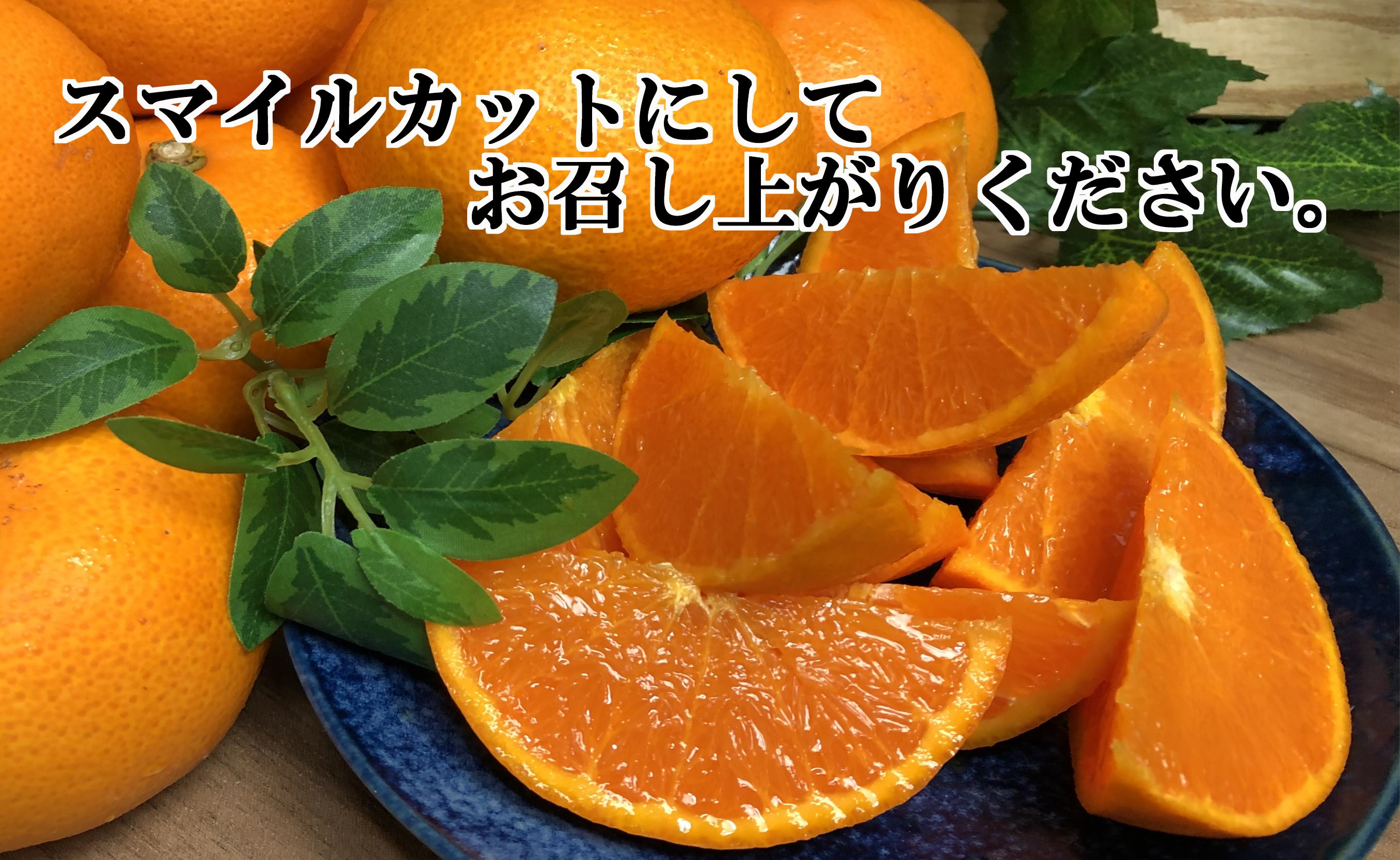 2027年2月〜順次発送　柑橘の大トロ!「せとか」約2.5キロ【訳あり品・家庭向け】【C39-65】【配送不可地域：離島】【1619102】 YWTF040