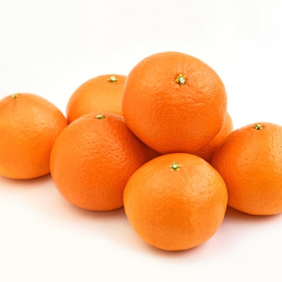 竕ェ譁ー蜩∫ィョ!!竕ォ縲千曝蟷ウテ励∪縺ゥ繧薙↑縲第帶棡48蜿キ(邏繝励Μ繝ウ繧サ繧ケ縺ィ蜷悟刀遞ョ)2kg縲織64-76縲代1621821縲