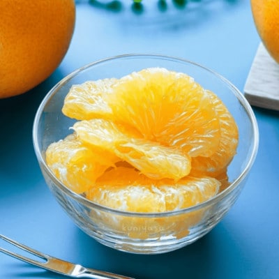 甘夏&サンフルーツ各5kg【訳あり】【C20-19】【1094577】