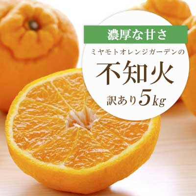 【先行受付】デコポンと同品種 濃厚柑橘 不知火5kg【訳あり】【D25-139】【1138007】 YWTAP082