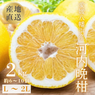 《果汁たっぷりジューシー》産地直送 愛媛八幡浜産 河内晩柑2kg【C20-90】【1625429】