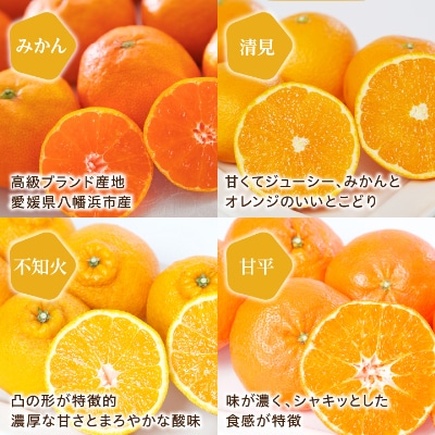 ãã€ã¢ããªã¬ã³ãžã¬ãŒãã³ã®ãæåªéžãæã!ã¹ãã·ã£ã«ãããã€ãŒãªãŒ12æ¬ã»ããããC25-152ãã1452992ã