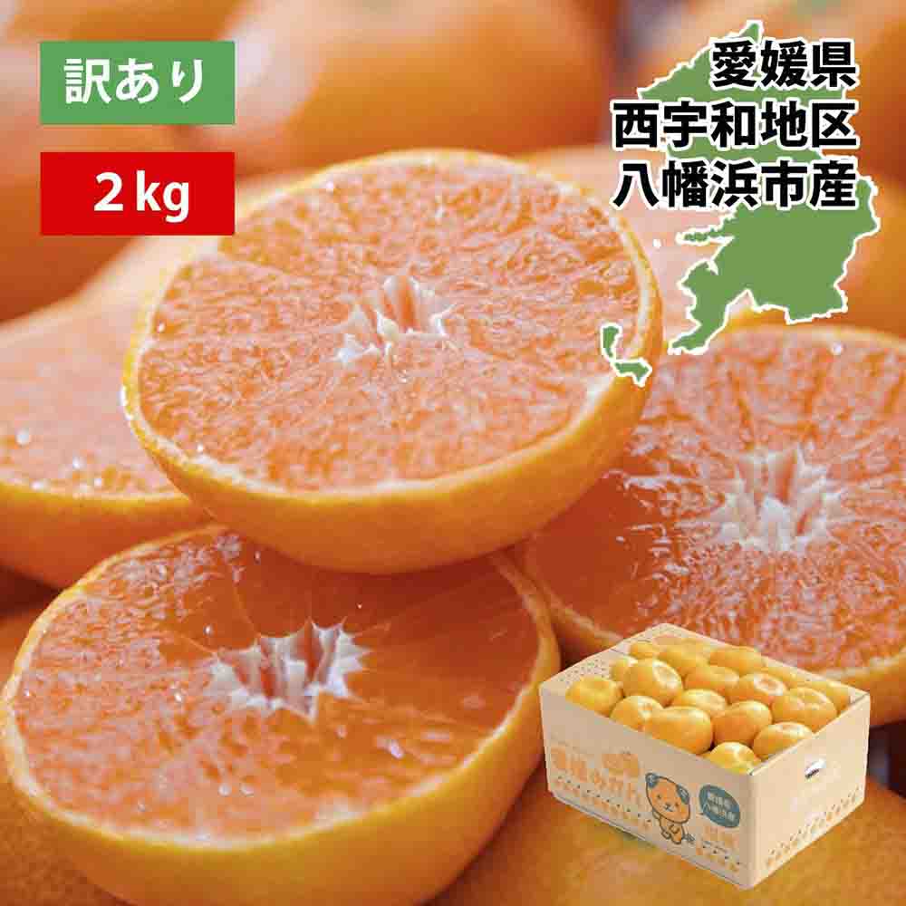 西宇和地区八幡浜産 愛媛みかん2kg【訳あり】【A25-173】【1586173】 YWTAP114