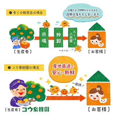 繧ウ繧ヲ譫懈ィケ蝨偵ョ縲後″繧医∩縲榊、ァ繝懊Μ繝・繝シ繝7kg縲燭33-19縲代1064379縲
