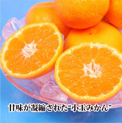 2025蟷エ11譛育匱騾髢句ァ九縺キ繧九キ繧区眠鬟滓─!縲後槭ラ繝ウ繝翫+豼蜴!縲悟ー冗脂縺ソ縺九s縲咲エ5kg縲織39-32縲代1252242縲