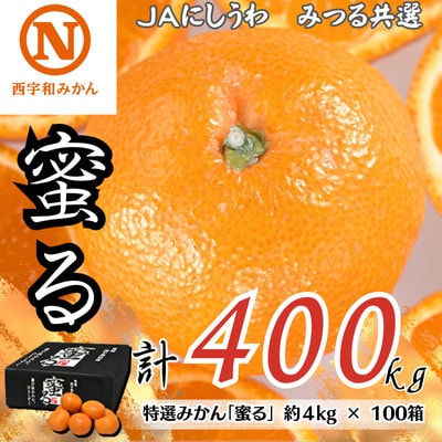 特選みかん「蜜る」計400kg(約4kg×100箱)【H08-87】【1510466】
