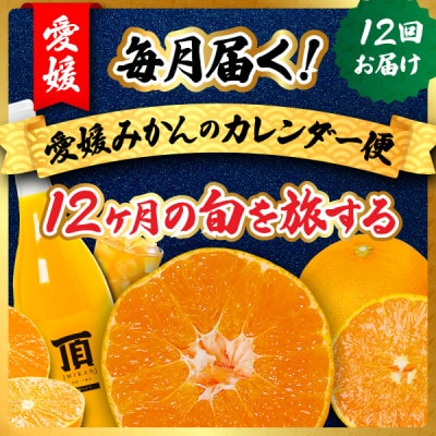 【発送月固定定期便】毎月届く!みかんのカレンダー便　〜12ヶ月の旬を旅する〜【H31-62】全12回【配送不可地域：離島】【4074244】