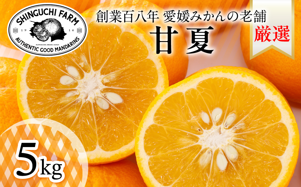 【木成り完熟】甘夏 5kg 『ほのかな苦味とスッキリした甘み』【C70-26】【1470662】 YWTK026