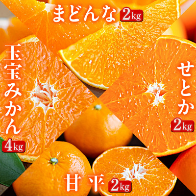 【発送月固定定期便】「蜜時(みつどき)便り」愛媛限定のまどんなや甘平も届きます【H64-92】全4回【4069712】