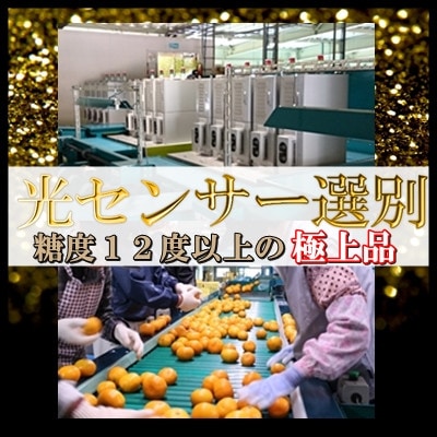 日の丸みかん「ゴールド千兩」3kg　サイズLまたはM/約25〜35個/光センサー【D79-2】【1452024】